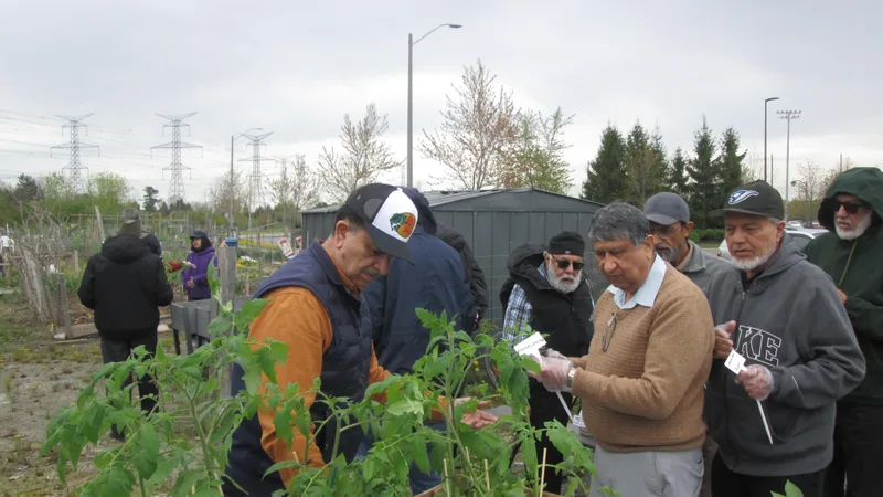 People sharing potted plants beside a plant display