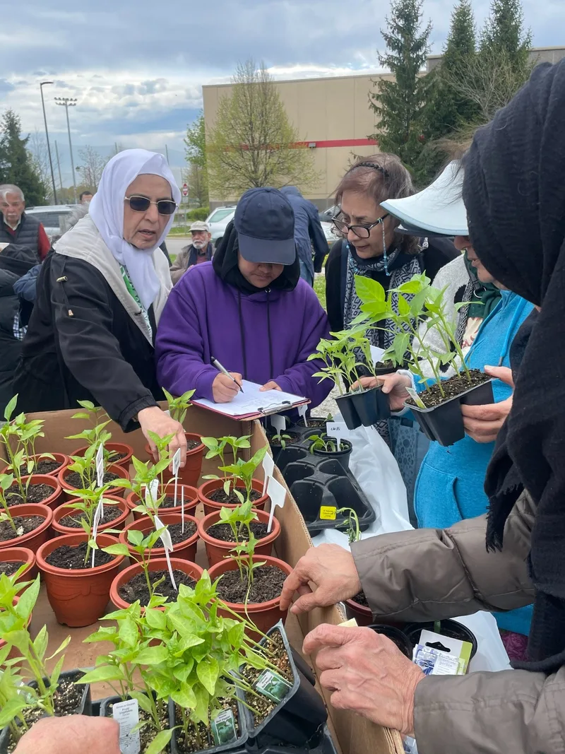 MCC seniors taking part in a group gardening activity